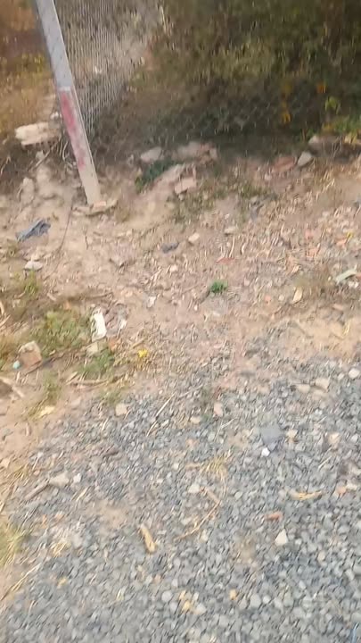 Đất nền An Hòa, Trảng Bàng 630m² - Sổ đỏ chính chủ, thổ cư 100%!