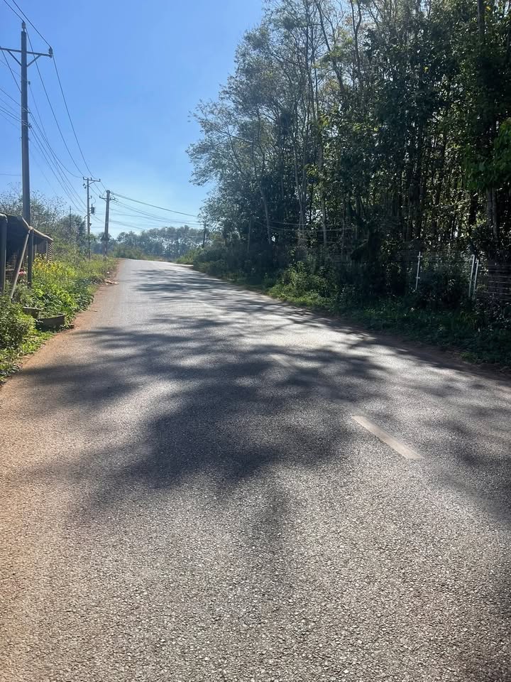 Đất Vườn Lộc Phát - Bảo Lộc 2500m² Sổ Hồng Sẵn Sàng - Giá 7 Tỷ