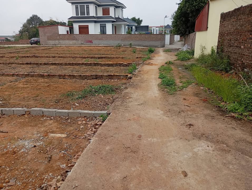 Đất Nền Phù Lãng, Bắc Ninh 85m² - Sổ Đỏ Sẵn Sàng Giao Dịch