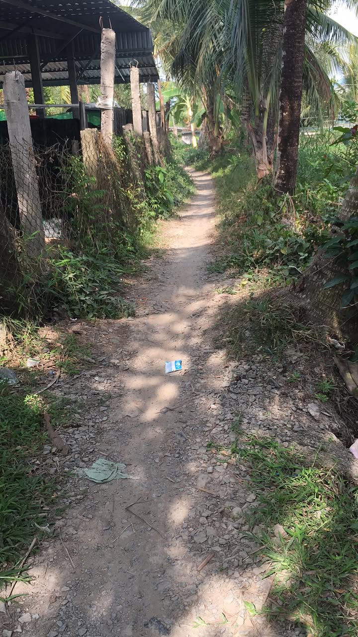 Đất vườn Tân Hoà, Hậu Giang 819m² giá 360 triệu – Tiềm năng tăng giá!