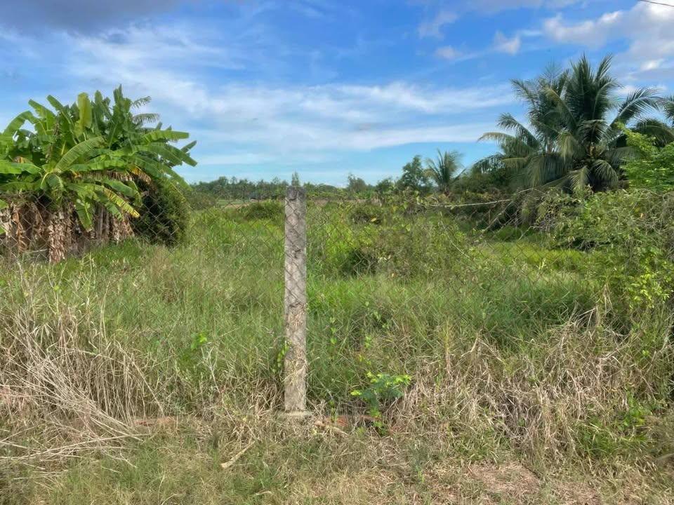 Đất nền Bình La Trà Vinh 1977m² - Sổ đỏ chính chủ, tiềm năng sinh lời!