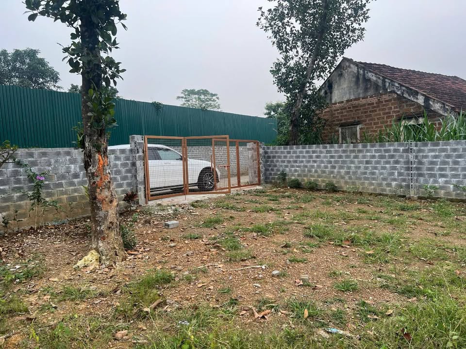 Đất nền Ba Vì Yên Bài 718m² giá 5 tỷ - Sổ đỏ chính chủ