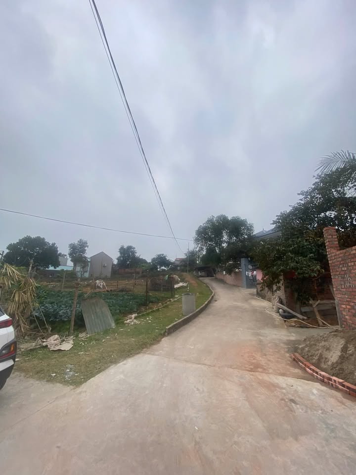 Bán Đất Liên Chung, Tân Yên 470m² - Đường Ô Tô, Giá Tốt Đầu Tư