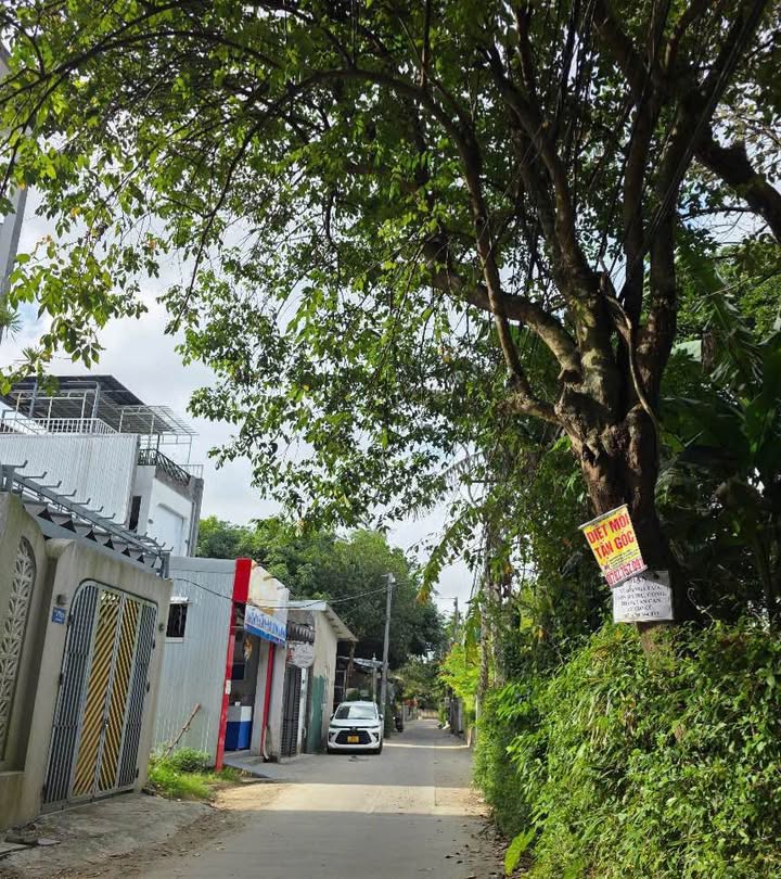 Đất Nền 78.5m² Kiệt 20 Nguyễn Hoàng, Huế - Sổ Đỏ, Đường Ô Tô