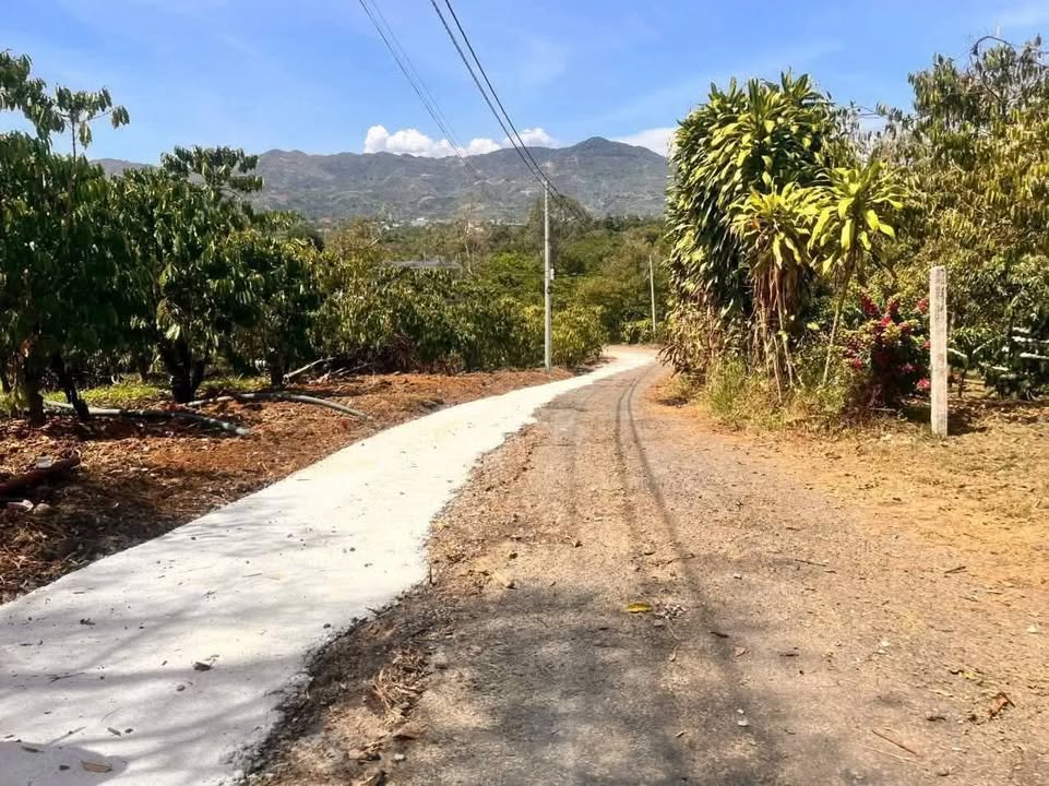 Đất Nền Bảo Lộc 504m² - View Săn Mây Đẹp, Giá Rẻ Nhất Khu Vực