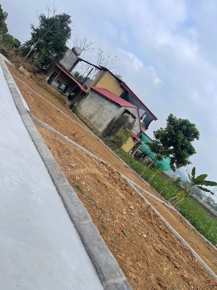 Đất nền Kim Tân Thanh Hóa 100m² - Sổ đỏ chính chủ