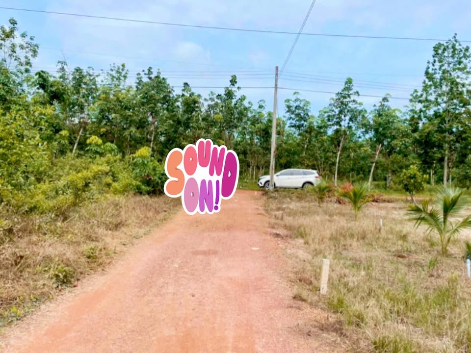 Bán Đất Minh Tân Phú Xuyên 1000m² Sổ Đỏ Chính Chủ - Giá Tốt