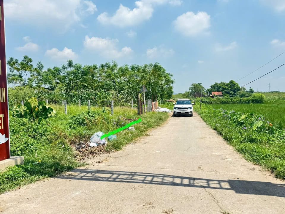 Đất nền Cao Xá Lâm Thao 160m² - Hạ tầng hoàn thiện, giá đầu tư!