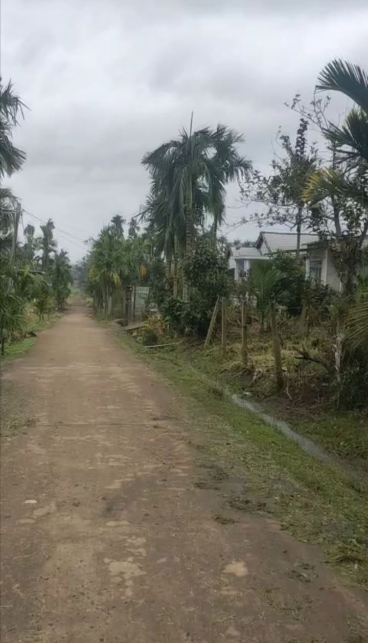 Đất nền Ea Drong, Buôn Hồ 120m² TC - Tiềm năng tăng giá vượt trội!