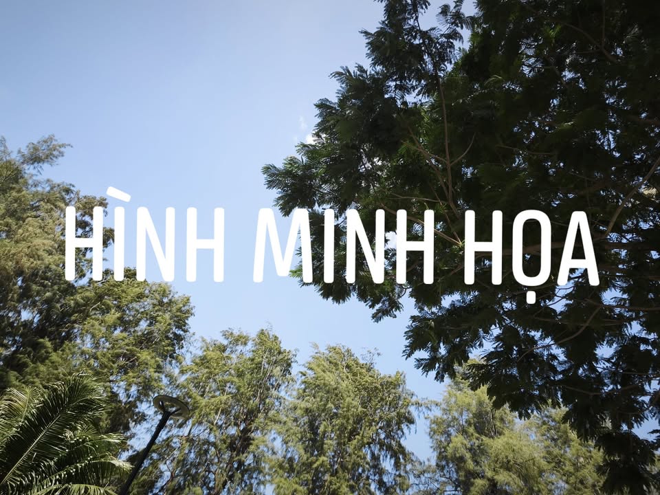 Cho thuê nhà nguyên căn Phường 15, Quận 8 - 24m² - Giá 3.5 triệu/tháng