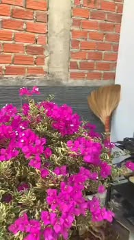 Nhà Cấp 4 Mới Hẻm Oto Phạm Ngũ Lão, Đắk Lắk - 85m² Giá 1.6 Tỷ