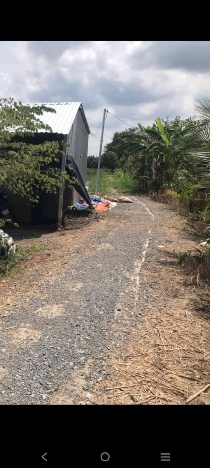 Đất Vườn Sầu Riêng Mỹ Hội, Cao Lãnh 9.000m² - Sinh lời bền vững!