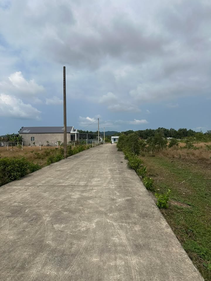 Lô đất Phú Quốc 500m² giá chỉ hơn 1 tỷ - Sổ đỏ chính chủ!