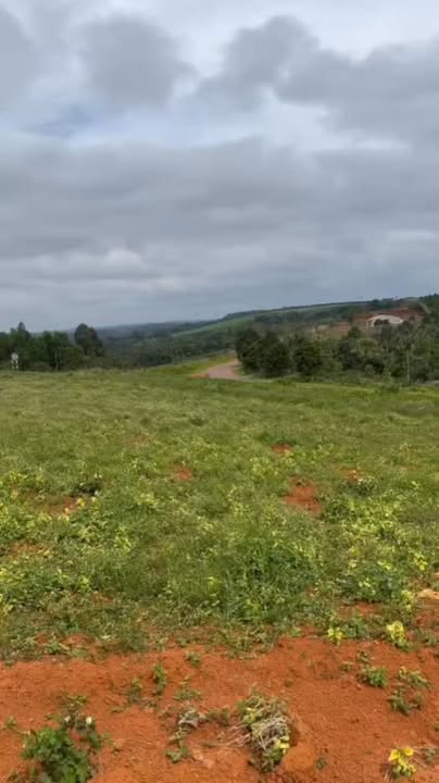 Bán Gấp 9ha Đất Vàng Tuy Đức, Đắk Nông - Sổ Hồng Sẵn Sàng