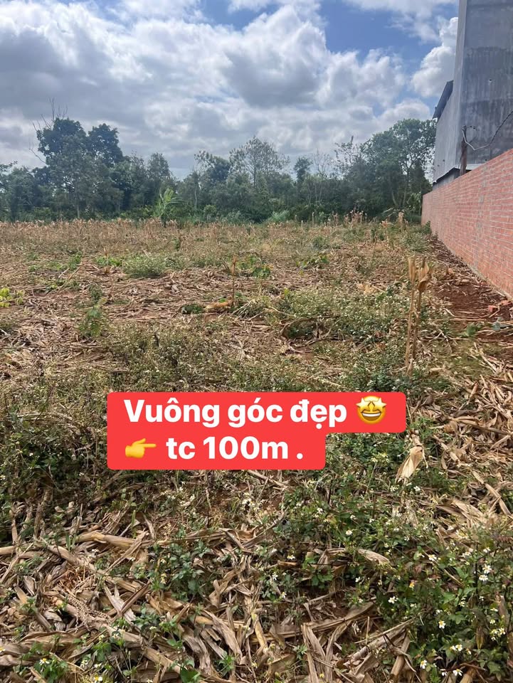 Đất Nền Đà Lạt 410m² - Sổ Thổ Cư, Sẵn Sàng Xây Dựng, Giá Rẻ Nhất