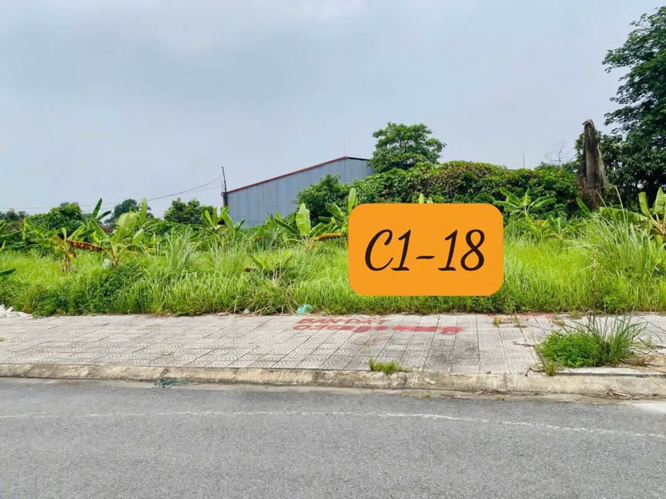 Đất nền Bình Xuyên 107.5m² - Hạ tầng hoàn thiện, sẵn xây!