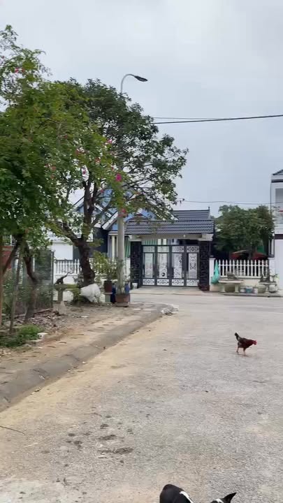 Đất nền Nông Cống Thanh Hóa 140m² - Tiềm năng tăng giá!