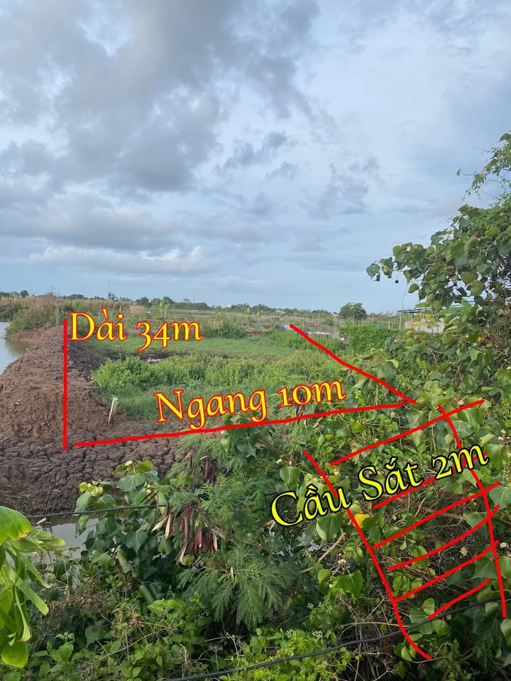 Đất Vườn 360m² - Ấp Lẫm, Bạc Liêu - Giá 300 Triệu - Sổ Đỏ Sẵn Sàng
