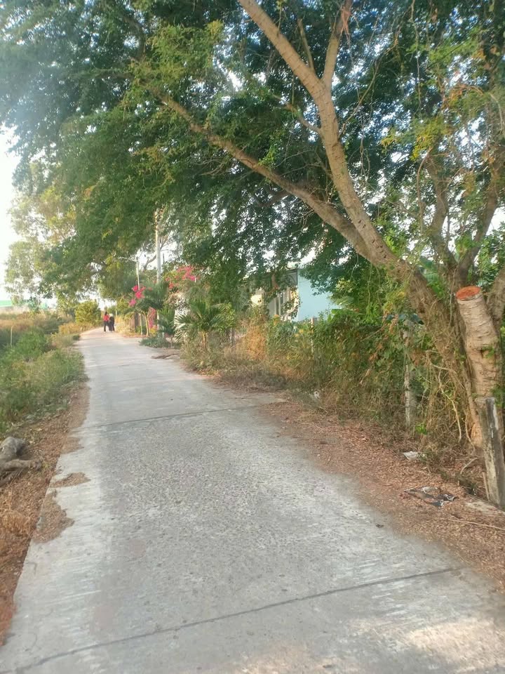 Đất Nền Phường Nhà Mát, Bạc Liêu - 118m² Giá 250 Triệu, Bao Sổ