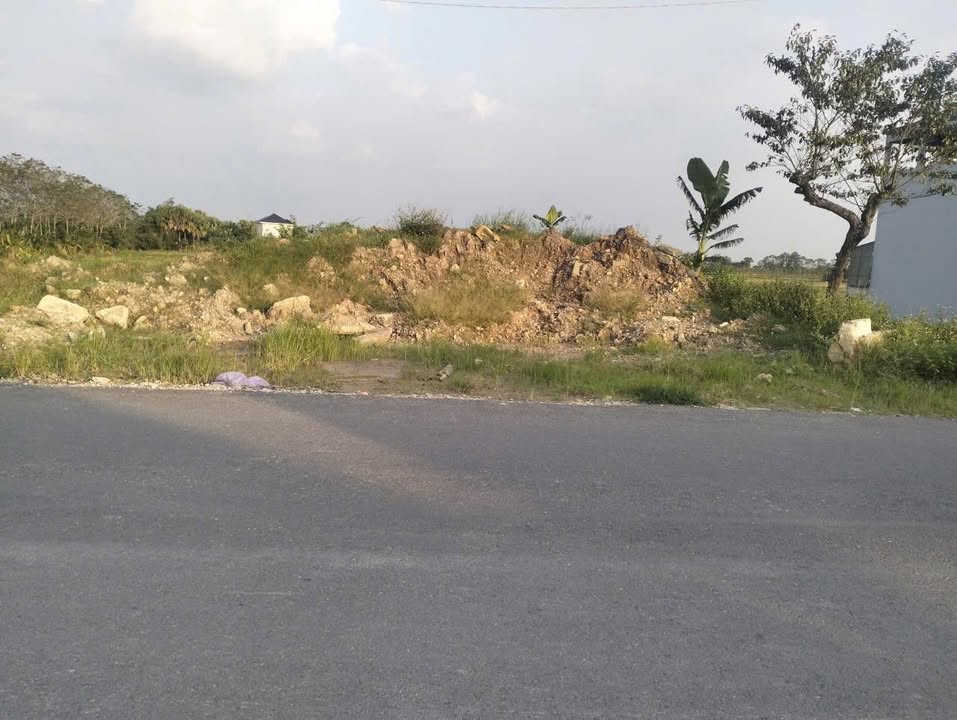 Đất nền Quảng Hòa Quảng Xương 150m² giá 1.4 tỷ Sổ đỏ chính chủ