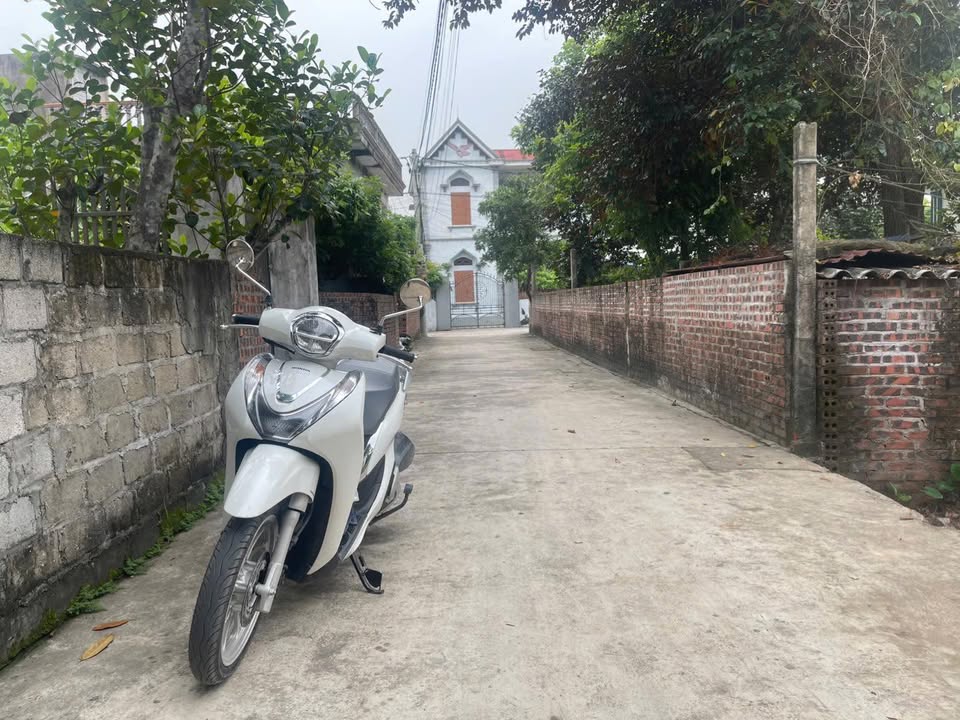 Bán Đất 300m² ONT Kim Đính, Hải Phòng - Sổ Đỏ Sẵn Sàng, Giá Hơn 1 Tỷ