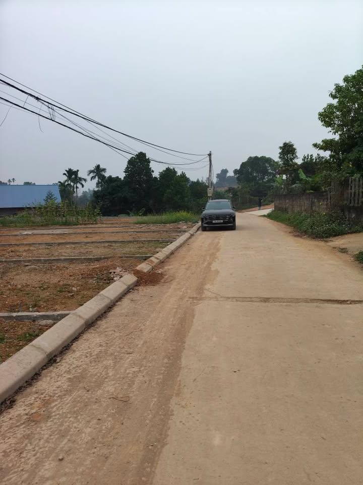 Đất thổ cư 133.5m² tại Tam Nông, Phú Thọ - Sổ đỏ sẵn, giá chỉ từ 4xx triệu