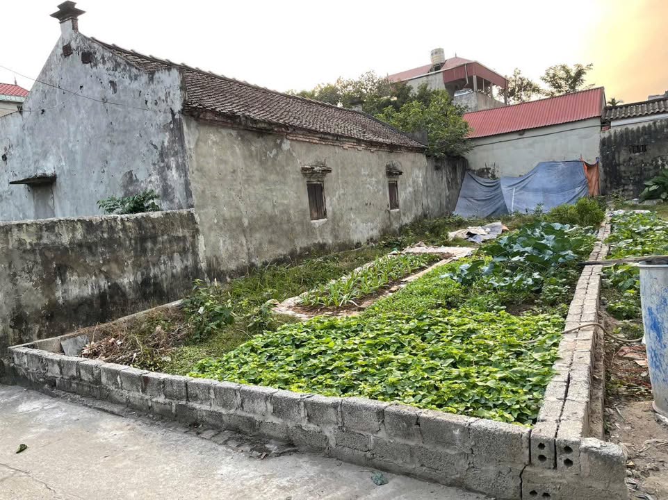 Bán Đất Hiền Giang Thường Tín 93m² - Giá Tốt Đầu Năm