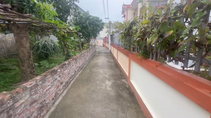 Bán Gấp Lô Đất 72m² Xã Nhân Quyền, Bình Giang - Sổ Đỏ Sẵn Sàng