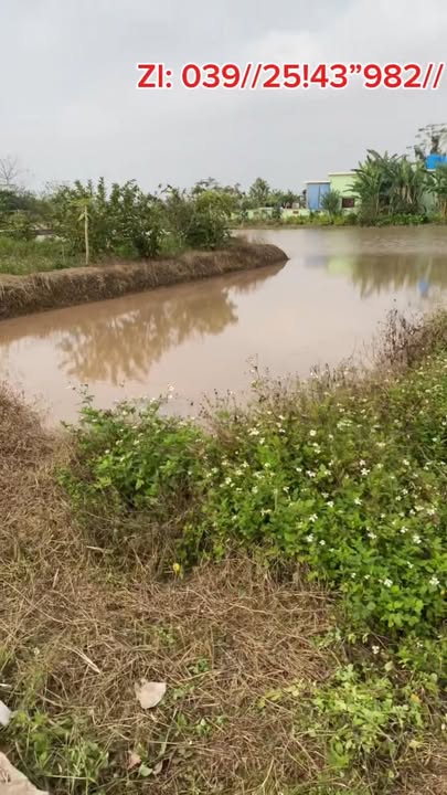 Đất nền Gia Thanh 500m² - Tiềm năng tăng giá vượt trội!