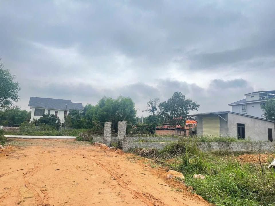 Đất nền Đồi Quăn Phú Thọ 100m² giá 1.1 tỷ - Sổ đỏ chính chủ!