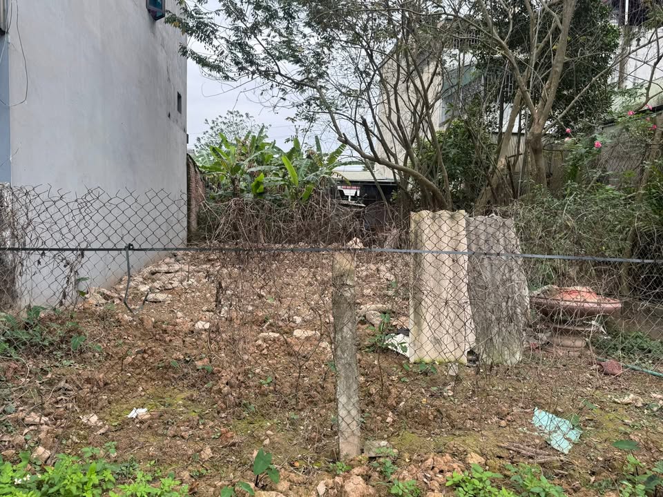 Đất nền Phùng Nguyên Lâm Thao 132m² giá 1.3 tỷ - Sổ đỏ chính chủ