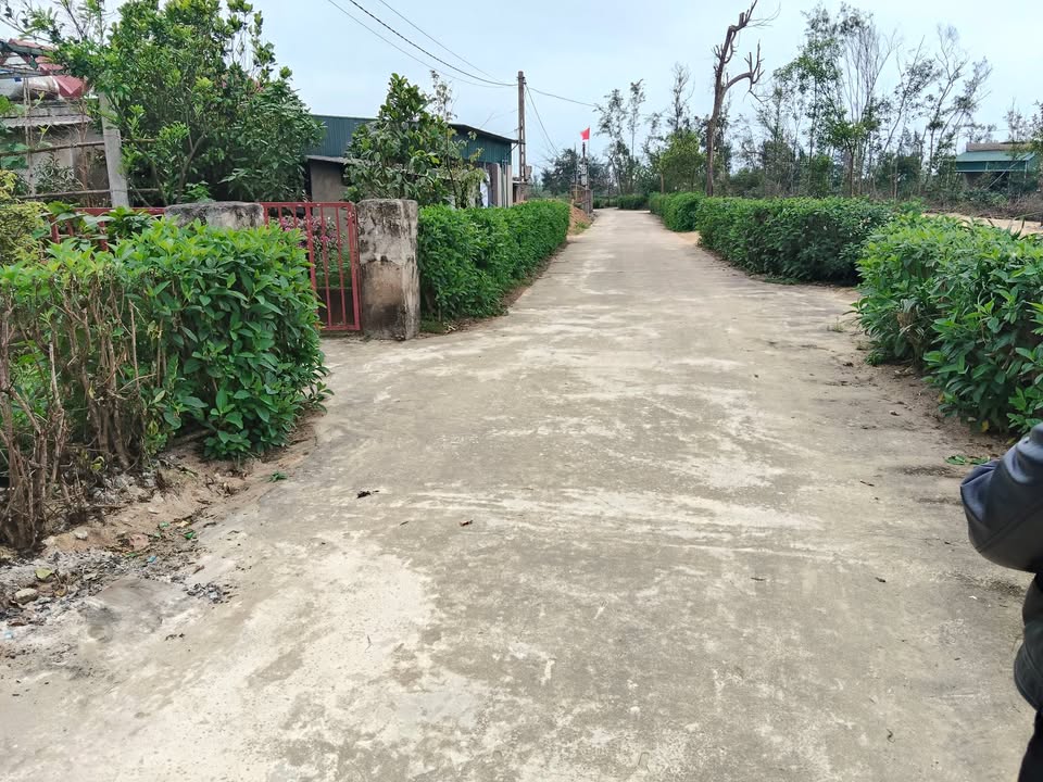 Bán đất nền Cẩm Dương 184m² giá từ 600 triệu - Sổ đỏ chính chủ!