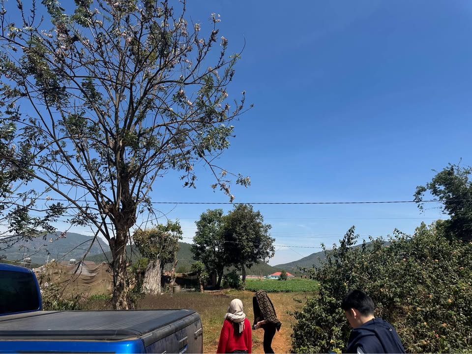 Đất nền Đạ Ròn, Đơn Dương 400m² giá 1.55 tỷ - Tiềm năng tăng giá rõ rệt!