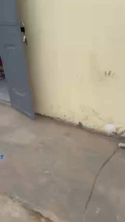 Cho thuê Nhà 80m² mặt ngõ to đường Hoàng Thiết Tâm, Hải Phòng - Giá 3 Triệu/Tháng