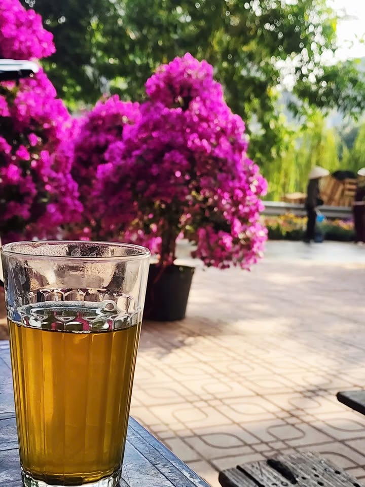 Lô đất Phố Nguyễn Công Trứ, Lê Chân 55m² - Tiềm năng tăng giá!