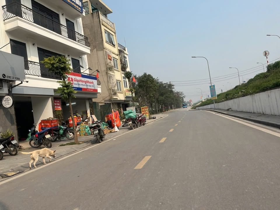 Đất nền Phúc Lợi, Long Biên 65m² – Tiềm năng tăng giá vượt trội!