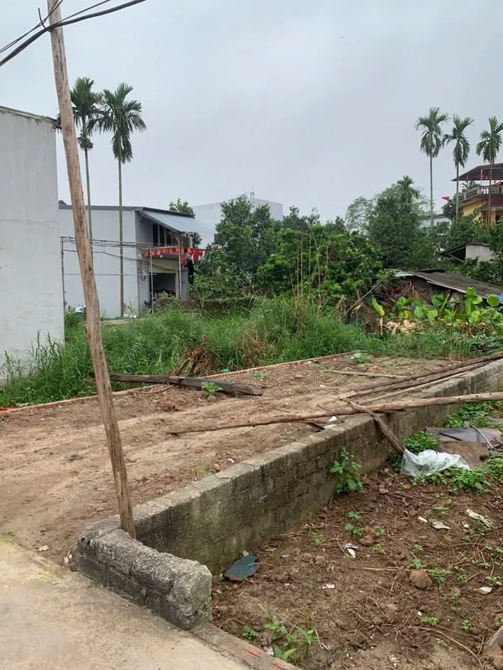 Đất nền Đại lộ Ninh Sở 40m² - Sổ đỏ chính chủ, tiềm năng sinh lời!