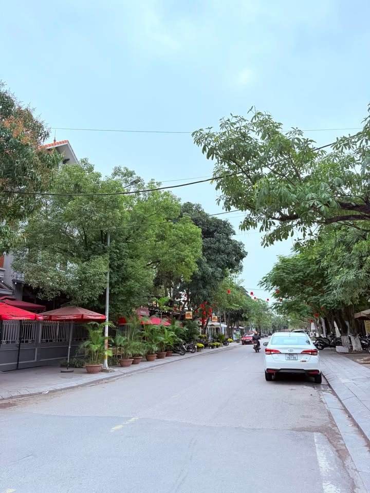 Bán Đất Biệt Thự 200m² Mặt Tiền 11.5m Đường Lê Hồng Phong, Từ Sơn - Sổ Đỏ Chính Chủ