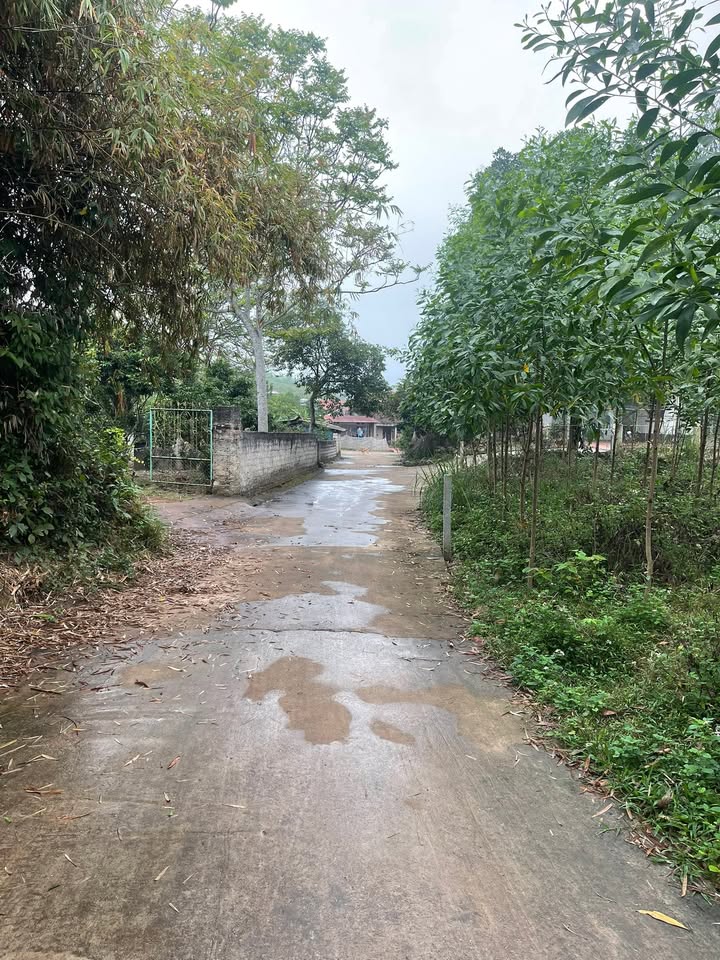 Đất nền F0 Yên Thế, Bắc Giang - 200m² - Hơn 400 triệu - Gần KCN