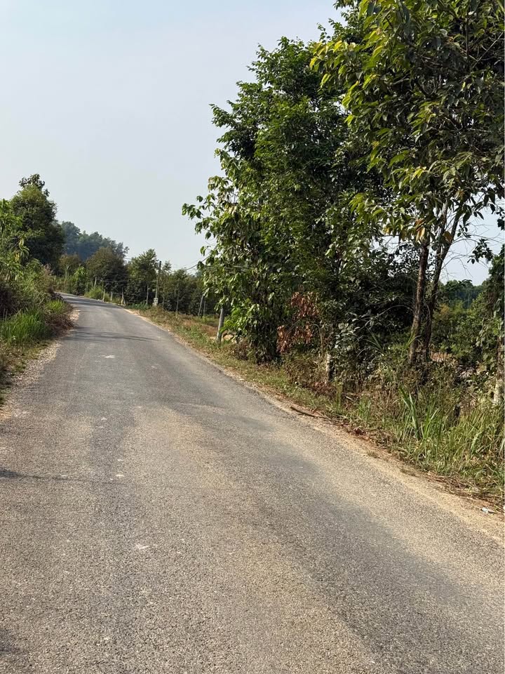 Đất nền Đạ Huoai 648m² 750 triệu - Tiềm năng tăng giá mạnh!