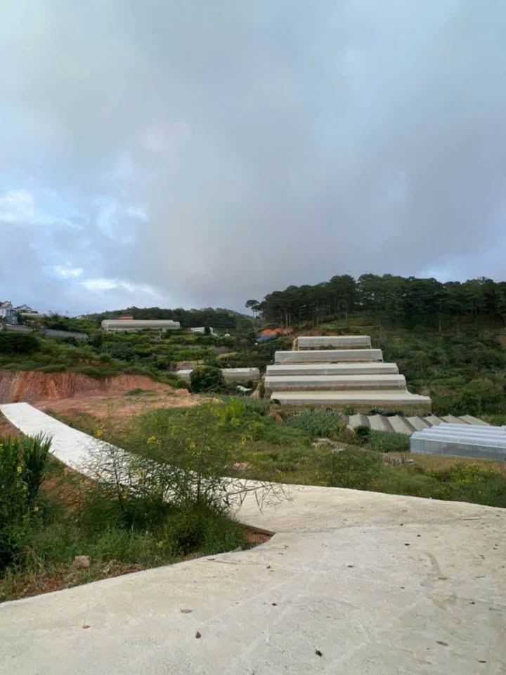 Đất Xuân Trường Đà Lạt 500m²-1187m² View Rừng Thông - Sổ Đỏ Chính Chủ