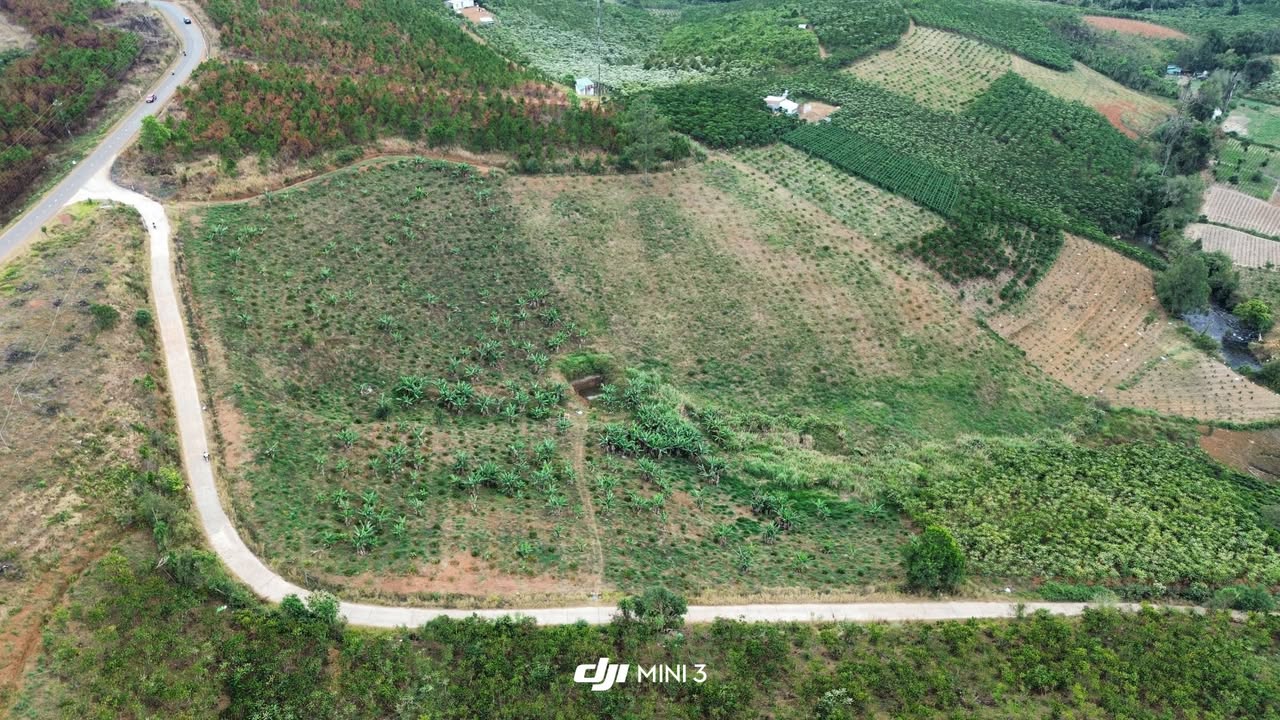 Đất nền Tỉnh lộ 725 Bảo Lộc 1.2ha - Tiềm năng tăng giá!