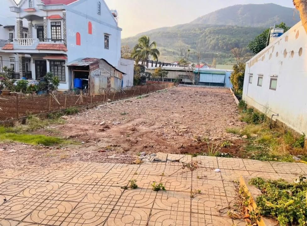 Đất nền Quốc Lộ 20 Bảo Lâm 446m² - Tiềm năng tăng giá vượt trội!