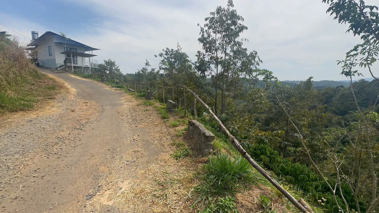 Bán Gấp Nhà Vườn Tân Lạc, Bảo Lâm - 2361m² View Mây, Vườn Cafe Thu Mạnh