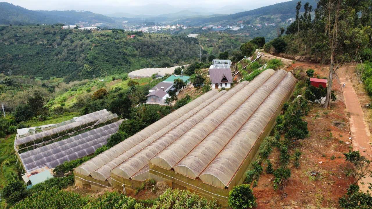 Đất nền Xuân Trường Đà Lạt 400m² giá 4 tỷ - Sổ đỏ chính chủ!