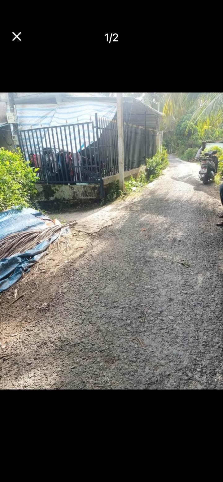 Đất Vườn Long Phước Vĩnh Long 1000m² - Đầu tư dài hạn!