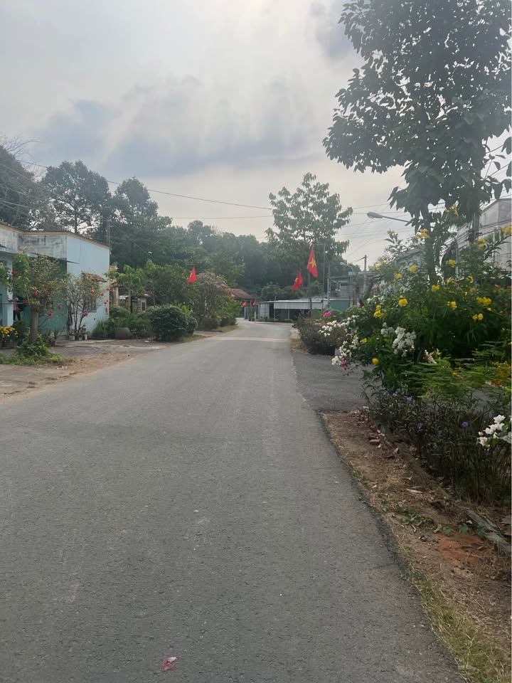 Bán Gấp Đất Mặt Tiền Đường Nhựa Tân Uyên, Bình Dương - 396m² Thổ Cư, Giá 3 Tỷ