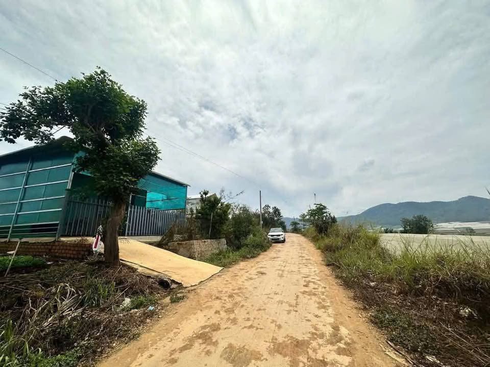 Bán Đất Mặt Tiền Đường 12.9m Tại Phường Đa Kao, Quận 1 - 303m² Giá 1.1 Tỷ