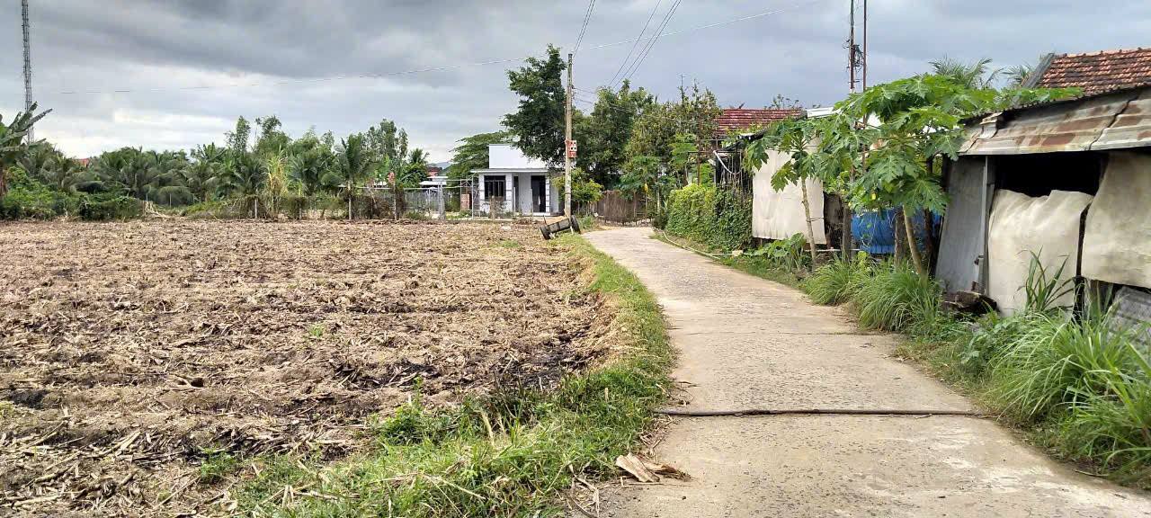 Đất nền Diên Khánh - 2855m² Mặt tiền đường 100m, Giá F0 chỉ 4.5 triệu/m²