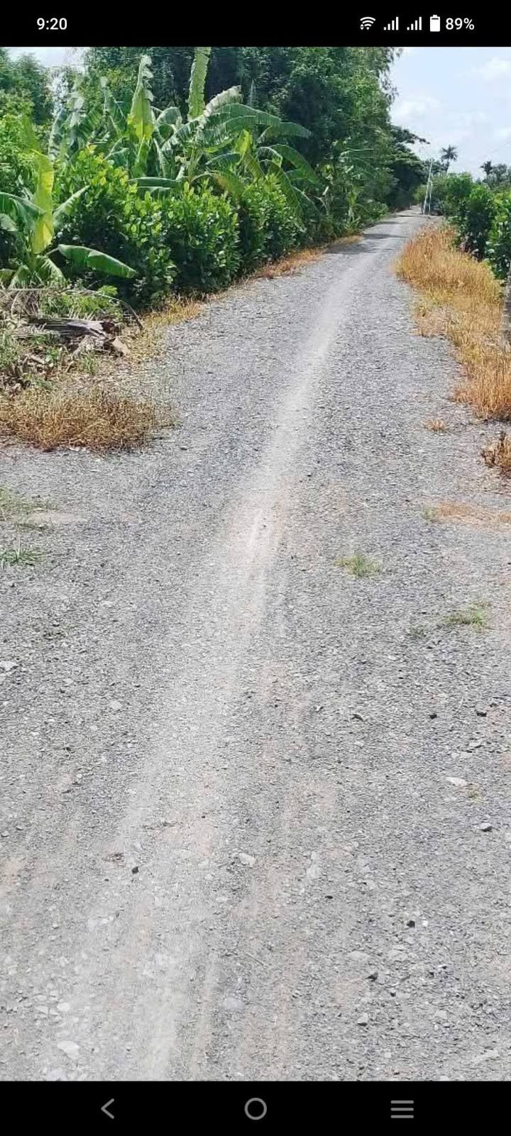 Bán Gấp Đất Ruộng 65.000m² Đồng Tháp - Tiềm Năng Lên Vườn